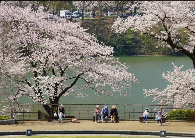 津久井湖